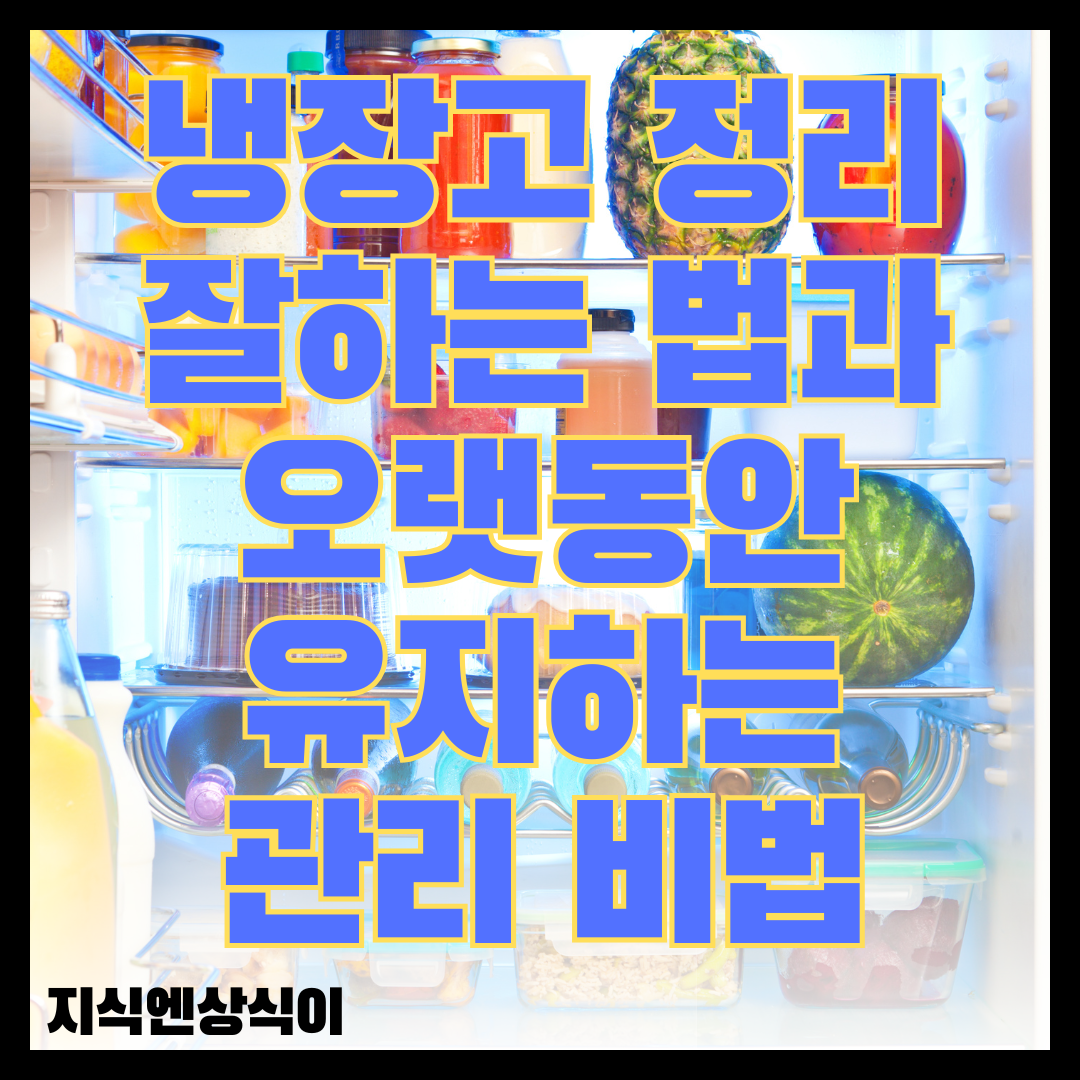 냉장고 정리 잘하는 법과 오랫동안 유지하는 관리 비법