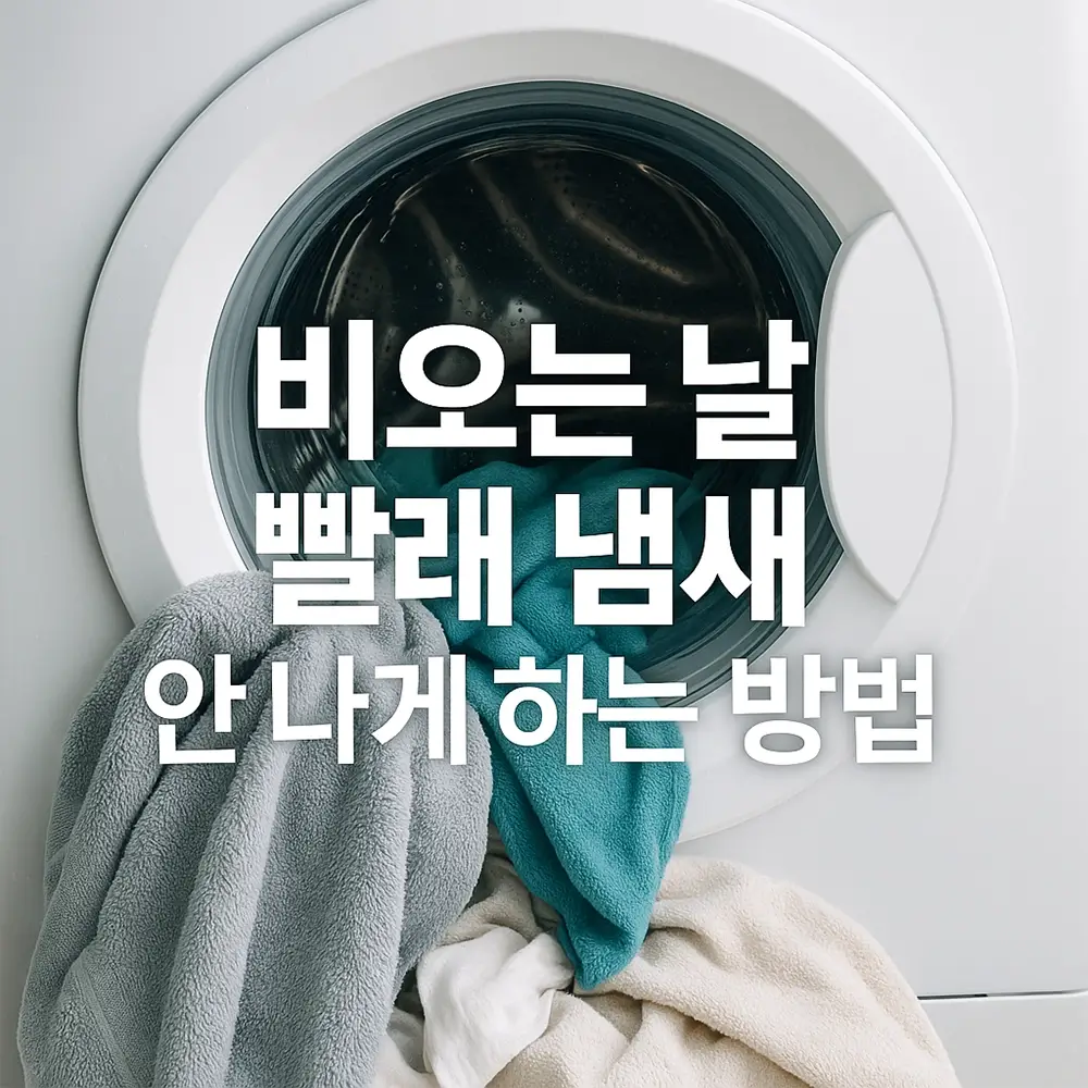 비오는 날 빨래 냄새 없애는 실전 꿀팁 뽀송한 세탁을 위한 관리법 (1)