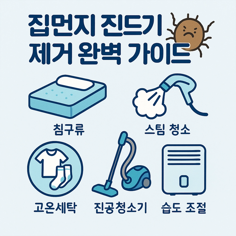집먼지 진드기 제거 완벽 가이드